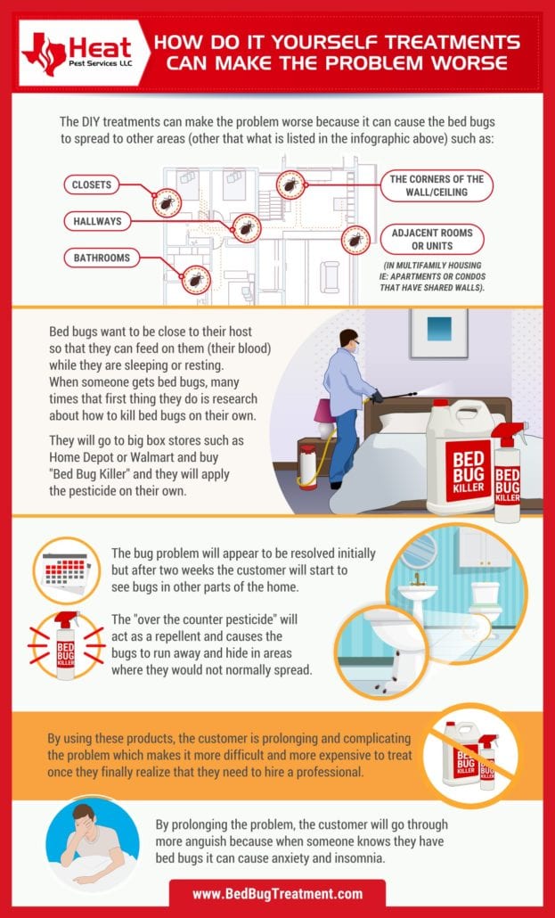 infographic with bed bug treatment advice from austin bed bug exterminator